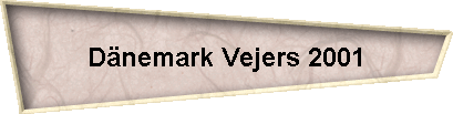 Dnemark Vejers 2001